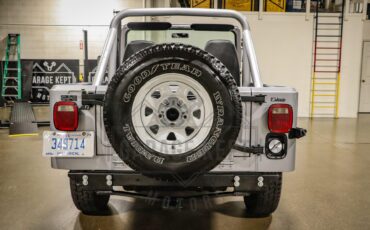 Jeep-Other-1983-Silver-Black-37