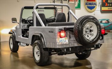 Jeep-Other-1983-Silver-Black-42