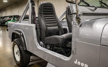 Jeep-Other-1983-Silver-Black-46