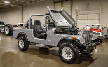 Jeep-Other-1983-Silver-Black-48