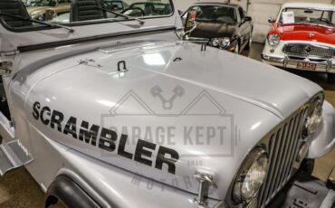 Jeep-Other-1983-Silver-Black-9