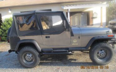 Jeep-Other-1988-10
