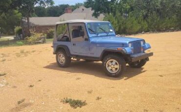 Jeep-Other-1988-Blue-8
