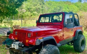 Jeep-Other-1988-Red