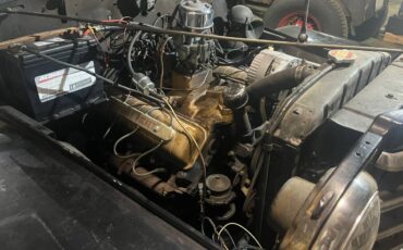 Jeep-Ster-1950-7