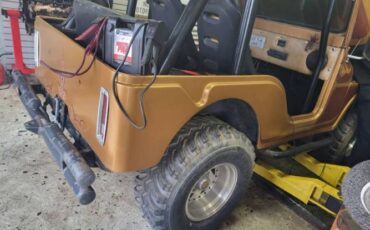 Jeep-Ster-1957-Tan-Black-8
