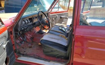 Jeep-Wagon-1977-8