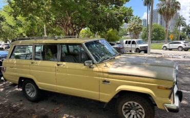 Jeep-Wagoneer-1980-Yellow-3