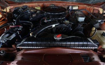 Jeep-Wagoneer-1981-Classic-Car-31