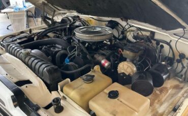 Jeep-Wagoneer-1983-White-Beige-Leather-2