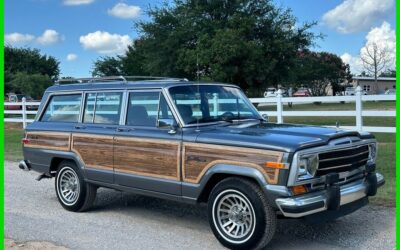 Jeep Wagoneer 1989 SUV