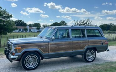 Jeep-Wagoneer-1989-SUV-5