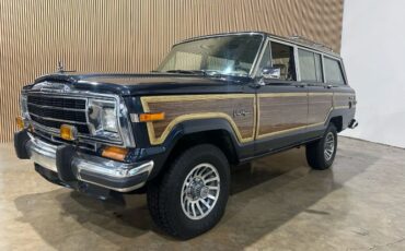 Jeep-Wagoneer-1991-Blue-Tan-Vinyl-22