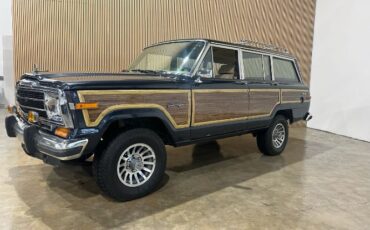 Jeep-Wagoneer-1991-Blue-Tan-Vinyl-3