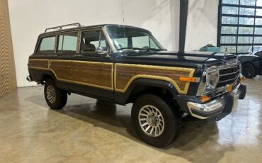 Jeep-Wagoneer-1991-Blue-Tan-Vinyl-7