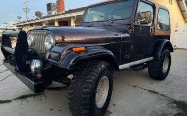 Jeep-Wrangler-1983-Brown-10