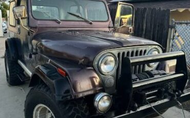 Jeep-Wrangler-1983-Brown-15