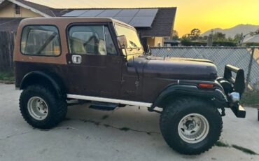 Jeep-Wrangler-1983-Brown-16