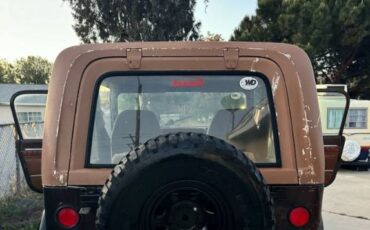 Jeep-Wrangler-1983-Brown