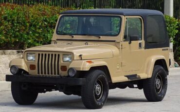 Jeep-Wrangler-1988-Custom-10