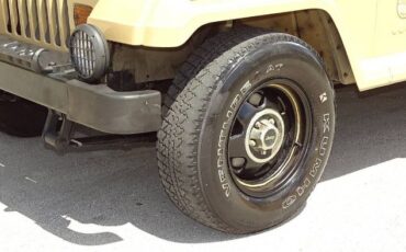 Jeep-Wrangler-1988-Custom-13