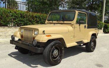 Jeep-Wrangler-1988-Custom-15