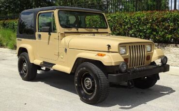Jeep-Wrangler-1988-Custom-17