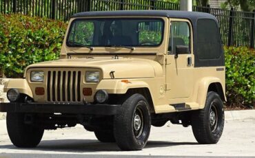 Jeep-Wrangler-1988-Custom-7