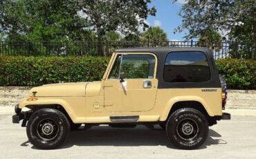 Jeep-Wrangler-1988-Custom-8