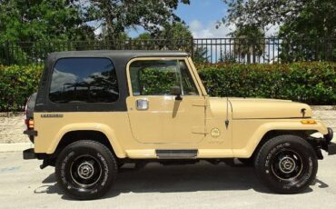Jeep-Wrangler-1988-Custom-9