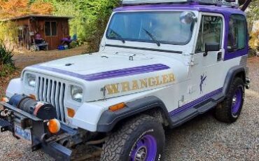 Jeep-Wrangler-1988-PurpleWhite-Purple-1