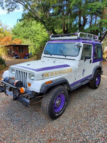 Jeep-Wrangler-1988-PurpleWhite-Purple-1