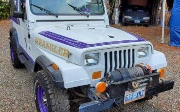 Jeep-Wrangler-1988-PurpleWhite-Purple