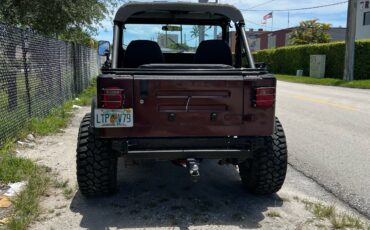 Jeep-Wrangler-1988-SUV-5