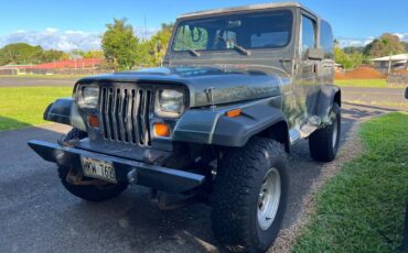 Jeep-Wrangler-1989-green-2