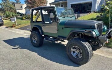 Jeep-Wrangler-1990-Green-Gray
