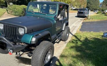 Jeep-Wrangler-1990-Green-Gray-4