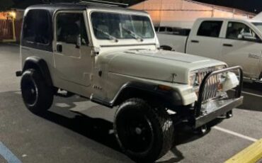 Jeep-Wrangler-1991-10