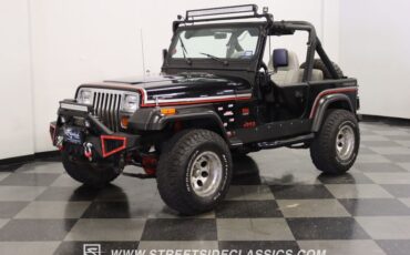 Jeep-Wrangler-1991-Black-Gray-13