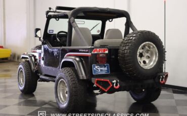 Jeep-Wrangler-1991-Black-Gray-15
