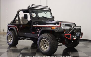 Jeep-Wrangler-1991-Black-Gray-18