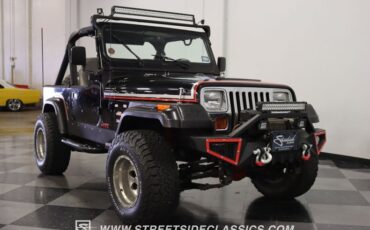 Jeep-Wrangler-1991-Black-Gray-19