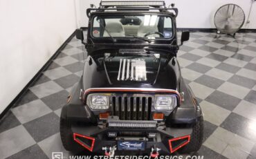Jeep-Wrangler-1991-Black-Gray-23
