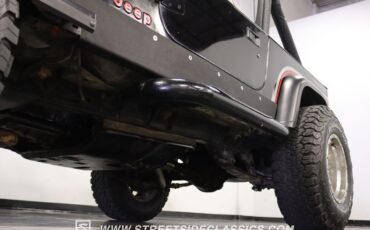 Jeep-Wrangler-1991-Black-Gray-25