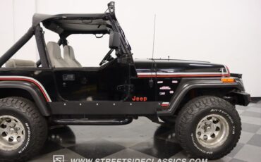 Jeep-Wrangler-1991-Black-Gray-31