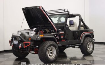 Jeep-Wrangler-1991-Black-Gray-33