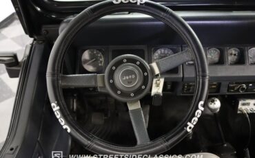 Jeep-Wrangler-1991-Black-Gray-40