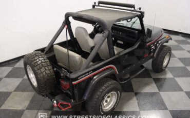 Jeep-Wrangler-1991-Black-Gray-8