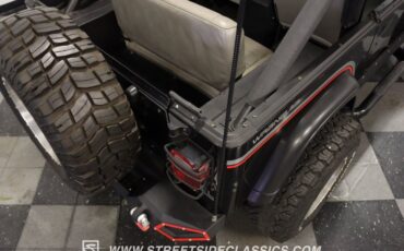 Jeep-Wrangler-1991-Black-Gray-9