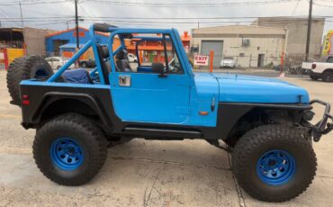 Jeep-Wrangler-1991-blue-20